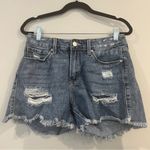 Just Black  Denim JBD Feifer Cat Scratch Short Photo 2