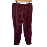 Soma Purple Velour Velvet Pull On Pants Large Elastic Waist Jogger Lounge Pocket Photo 3