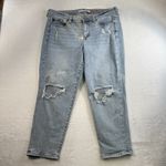 Celebrity Pink Plus 16 The Bestie Mid Rise Girlfriend Jeans Busted Knees Distres Photo 1