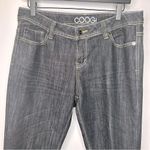 COOGI  Jeans Size 14W Photo 2