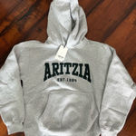 Aritzia NWT  Heather Gray Pullover Hoodie Photo 0