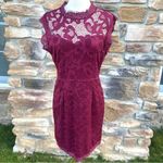 Sans Souci  Lace Burgundy Wine Dress Photo 7