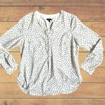 Talbots Scattered Polka Dot Womens Size M Petite Top Office Work Professional Photo 0