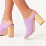 Urban Outfitters UO Poppy Suede Wood Heel Mule Photo 0