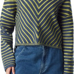 Circus by Sam Edelman Circus NY by Sam Edelman Stripe V-Neck Crop Sweater (Sz XL) Green Geo Striped Photo 0