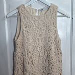 ZARA Limited Edition Ecru Knit Ivory Winter Crochet Long Boho Dress W1100 Sz S Photo 6