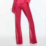 ZARA  Sheer‎ Pleated Ruffle Wide Leg Pull On Pants Pink Medium Flare Naked Photo 4