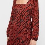 EXPRESS  Tiger Print Square Neck Wrap Mini Dress Photo 0