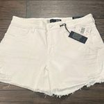 Kut From The Kloth NWT  Jane High Rise Long Short Sz 12 Photo 0