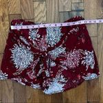 Harmony & Havoc Shorts With Tie Front Photo 2