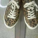 Madewell  Sidewalk Low Top Leopard Cheetah Print 
 Sneaker Shoes Photo 6