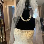 David's Bridal David’s bridal strapless lace white wedding dress with veil Photo 2