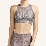 Peloton WITH  set size medium Photo 0