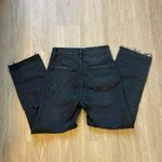 Wild Fable  Black Jeans Photo 1