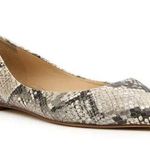 Botkier Annika Grey/Silver Snake Embossed Flats Size 9 *NWOB* Photo 0