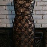 Black Lace Hi Photo 0