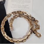 Eddie Borgo NWT  12k Gold Plated Supra Chain Link Necklace Photo 9