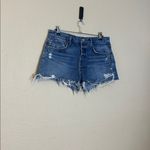 AGOLDE  Parker Vintage Cut-Off Denim Shorts in Swampmeet Dark Size 31 Photo 4