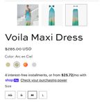 Revolve Baobab voila maxi dress Photo 5