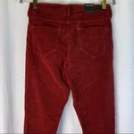 Dear John Gisele High Waisted Skinny Burgundy Velvet Velour Pants size 28 π Photo 12
