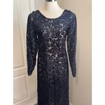 Vintage Caron Joy Sheer Velvet Burnout Dress Floral Long Sleeve Maxi Evening Black Size 12 Photo 6