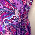 Karin Stevens Paisley Print Dress With Belt Size 10 Photo 4