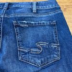 Silver Jeans  Mazy Skinny 31/29 Photo 1