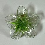 Green Hibiscus Flower Claw Hair Clip Accessory 🌺✨ Photo 0