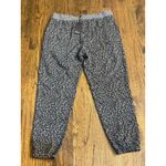 Rails Women's Size XL Charcoal Mini Cheetah Print Kingston Jogger Ankle Pant Photo 2