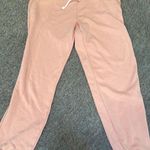 American Eagle  Outfitters Sweatpants Jogger Photo 0