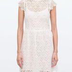 ZARA White Floral Lace Crochet Dress Short Sleeve Cap Sleeve Mini LWD Size Small Photo 0