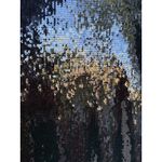 Sanctuary Perfect Sequin Top Black Short Sleeve Crew Neck Party Sparkle Size XS Photo 7