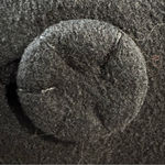 Source Unknown Vintage 1950s Women’s Black Dress Coat with‎ Fur Collar Hollywood Glamour Large Photo 9