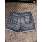 Nectar Clothing Nectar Denim Shorts Size L Photo 4