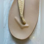 Sam Edelman T-Strap Metallic Woven Straw Tan Flat Sandals, women’s 10 Photo 10