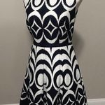 The Limited  A line Pleated Drop Waist Dress With Pockets Photo 8