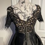 Lucy Wang Fay Eyelash Lace Taffeta Pleated Skater structured skirt Short Sleeve V-Neck Dress Sz XL Photo 3