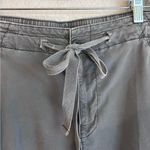 American Eagle Outfitters Khaki Cargo Pants Photo 4