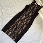 Maggy London  Bodycon Black and Tan Lace Midi Dress Photo 1