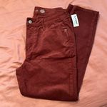 NWT High Rise Skinny Pants Brown Size 8P Photo 3