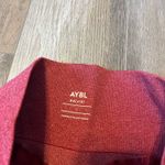 AYBL  Empower Seamless Shorts in Red Marl Photo 3