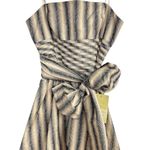 NWT BCBG Strapless Striped Pleated Bubble Sleeveless Dress Size 2 Retail $340 Black Photo 5