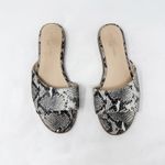 [Yosi Samra] Constantine Snake Python Print Slip On Slides Flat Sandals Size 9 M Black Photo 6