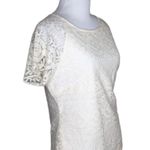 Solitaire Ivory Lace Overlay Sheer Short Sleeves Keyhole Dressy Casual Top M Photo 1