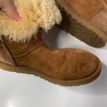 UGG  Australia Bailey button short boots‎ chestnut size 6 Photo 9