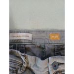 Pilcro and the letterpress womens green flat front shorts size 34 in wai… Photo 1