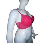 Daisy Fuentes Lace Push Up Bra Photo 1
