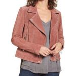 BLANK NYC NWT  Suede Moto Jacket Photo 0