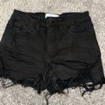 Vervet  Jean Shorts Photo 0