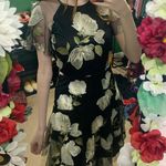 Tahari Size 2  Dress Photo 1